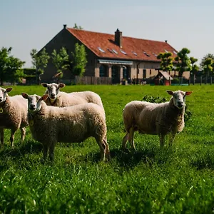 Hoevehotel Ter Haeghe Belgien
